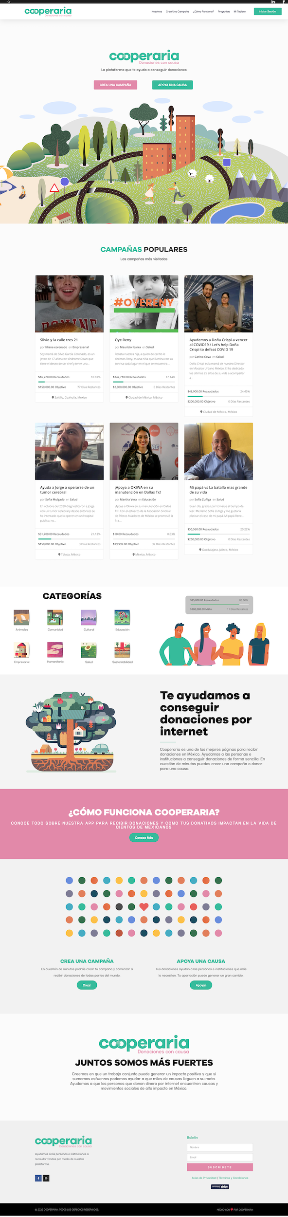 Wordpress Website Nonprofit