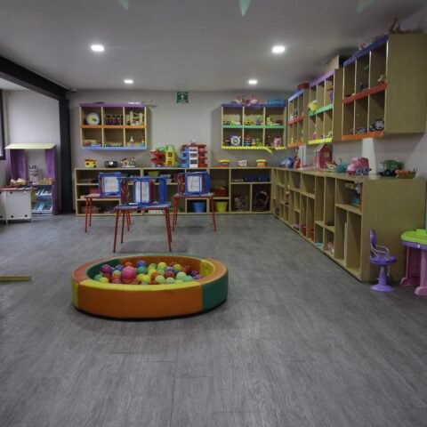 Daycare Website Developer